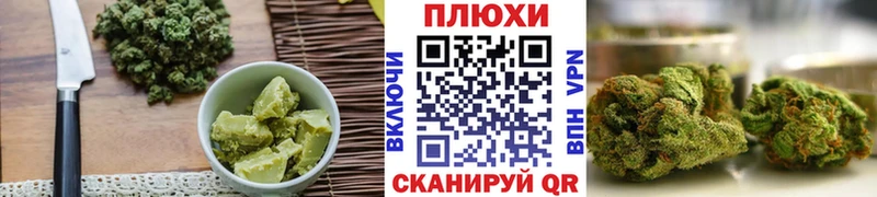 Cannafood конопля  Терек 