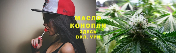 молекула духа Надым