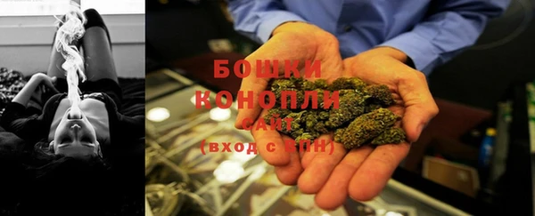 молекула духа Надым