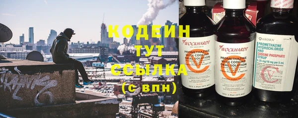 молекула духа Надым