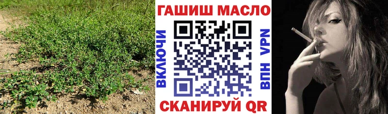 где можно купить наркотик  Терек  ТГК вейп с тгк 