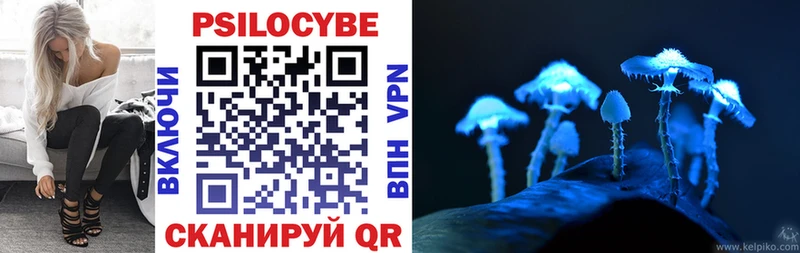 Псилоцибиновые грибы MAGIC MUSHROOMS  блэк спрут ссылка  Терек 